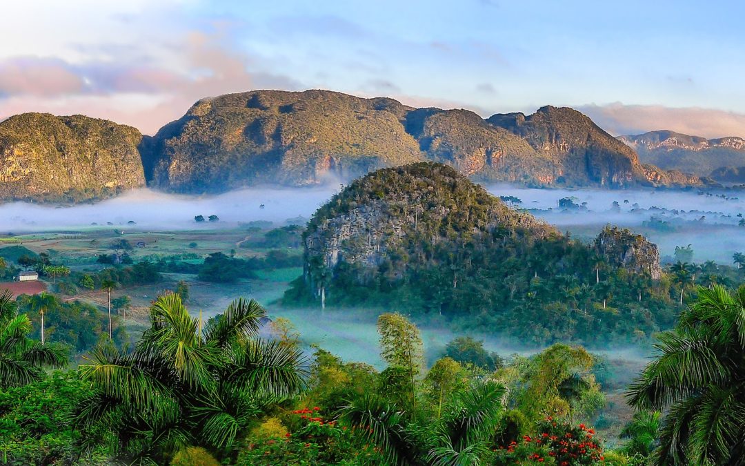Vinales